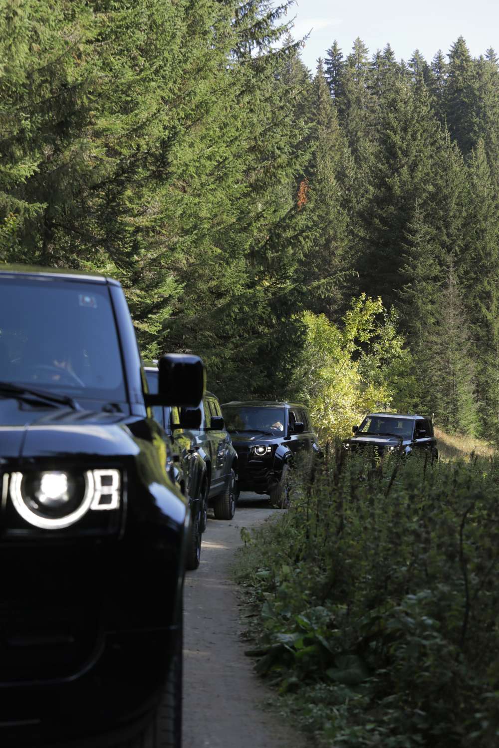 Defender avantura na Kopaoniku: Vožnja van asfalta, ručak uz vatru i veče pod zvezdama Defender na Kopaoniku 4 Defender avantura na Kopaoniku: Vožnja van asfalta, ručak uz vatru i veče pod zvezdama