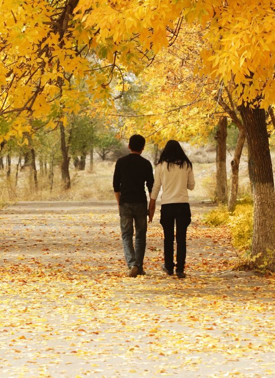 Da li hodanje gradi mišiće, sagoreva masti, ili oboje – i više od toga?