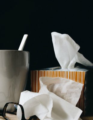 Još jedna cigla u glavi: Razbole se lisica