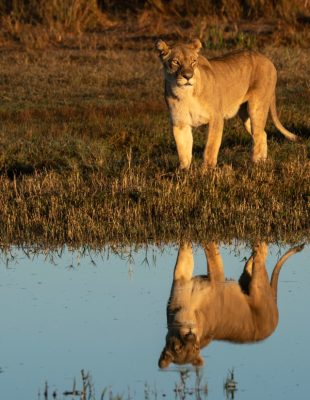 National Geographic obeležava 50. godišnjicu Dana planete Zemlje