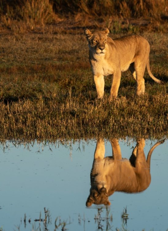 National Geographic obeležava 50. godišnjicu Dana planete Zemlje