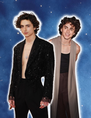 Svi autfiti zbog kojih je Timothée Chalamet najbolje obučeni mladi glumac sveta