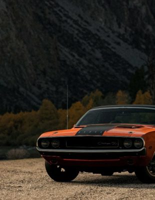 Kako pokrenuti sopstvenu kolekciju vintage automobila